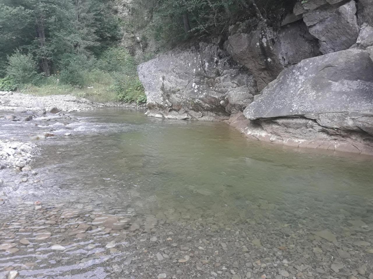 U Anastasii I Sofii Bilya Richki Pension Mykulychyn Buitenkant foto